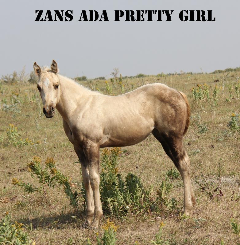 ZANS ADA PRETTY GIRL